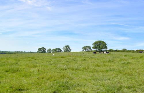 Manor Lodge Stables - Foto 26