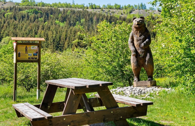 Attractive Apartment in Rubeland in the Upper Harz - Foto 12