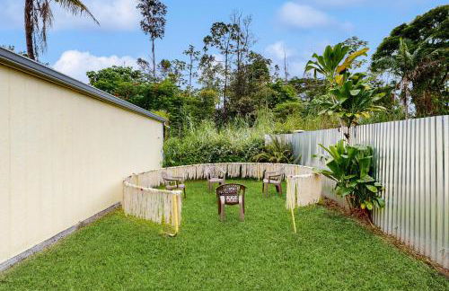 Sea Turtle Life - Photo 41