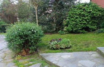 La Ginestra - Foto 7