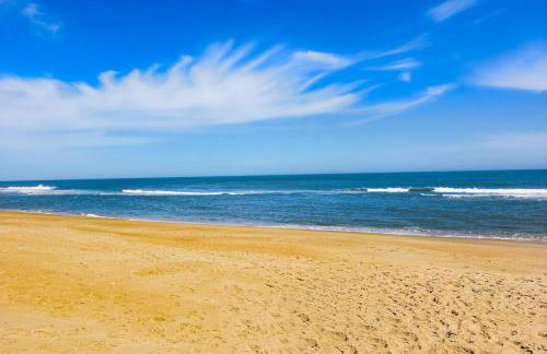 BXOLRD2 Native Sun #9-BB - Foto 37