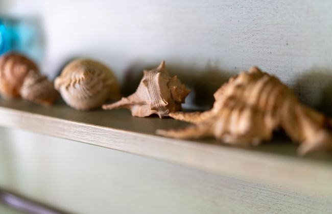 Sa Pedrera in Sa Rocca Tunda - Foto 22