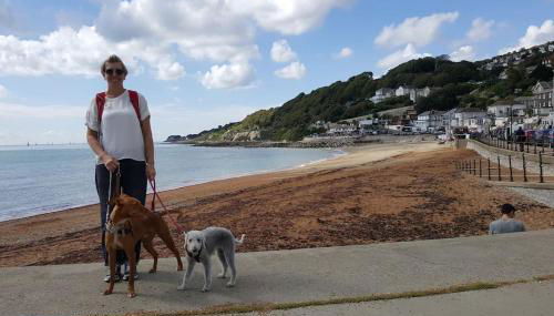 Wheelers Bay Apartment - Foto 2