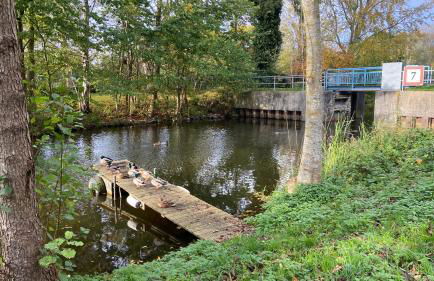 Loftwohnung 1 Simmerdeis an der Gracht - Foto 24