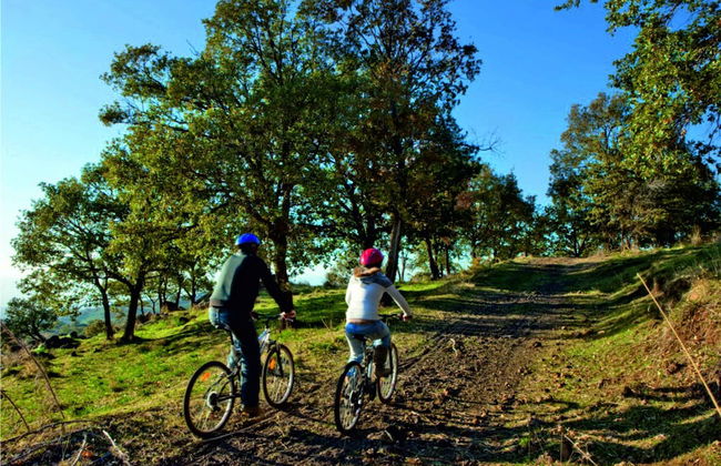 Bosco Ciancio - Photo 36