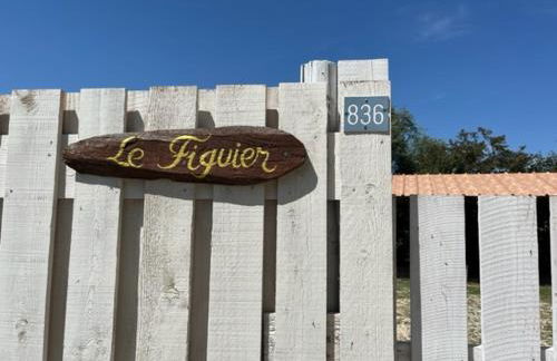 Les Mazets du Paty - Foto 15