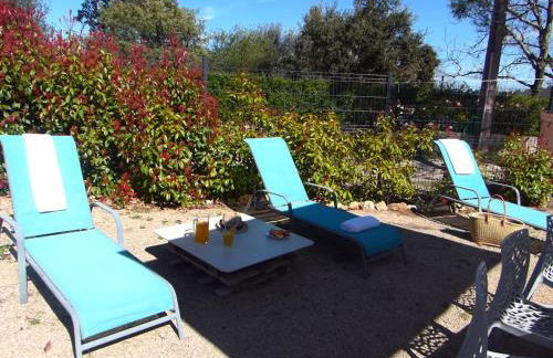 Vigne et cigale - Foto 2