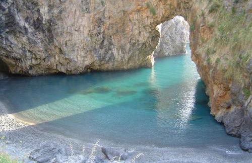 The Lemon Tree House - Photo 49