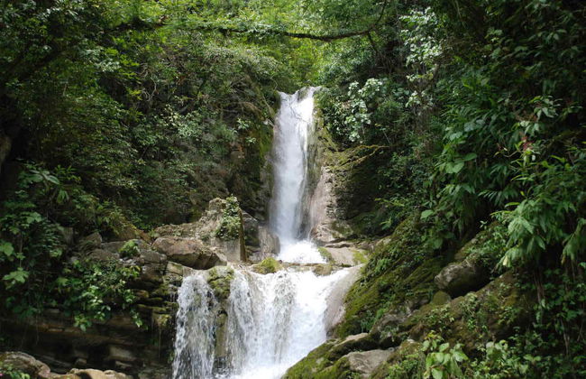 Escursione a Xilitla - Foto 7