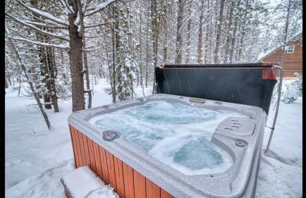 Island Park Hideaway -Bill's Island -Hot Tub -BBQ - Foto 1