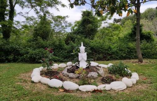 Cara Pace in collina per gruppi - Foto 12