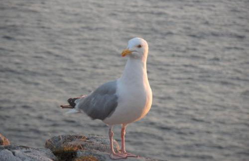 Holiday Home Unterkunft in der Mitte by Interhome - Foto 22