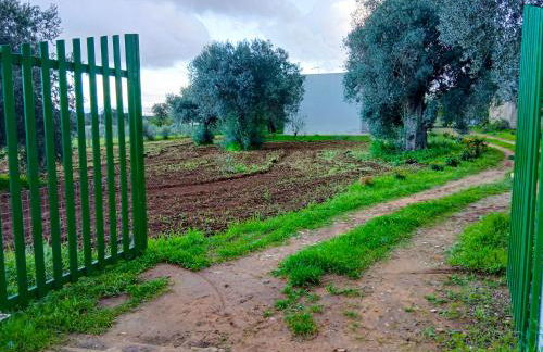 Casa Tosca - Foto 12