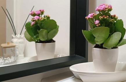 Palermo Eleganza in centro città - Foto 26