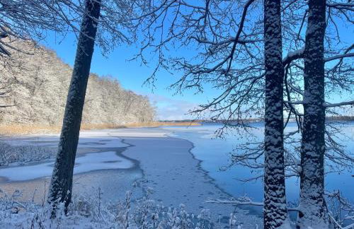 Żurawi klangor - dom z sauną i jacuzzi - Foto 46