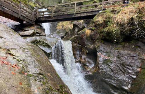 Ferienhaus Brunnbauer - Foto 43