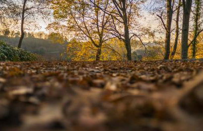 Quinta do Fontelo - Foto 35