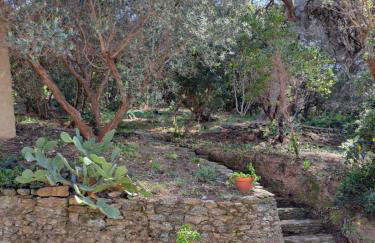 BASTIDE PRESQU ILE DE GIENS SUPERBE VUE MER PISCINE - Photo 51