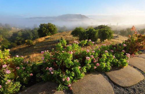 Luxury Modern Chateau near wineries & beaches - Foto 41