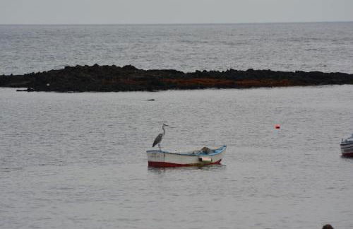 Apartment Orzola Vista Mar - Foto 32