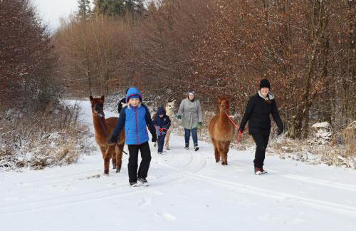 Schauerhof - Photo 7