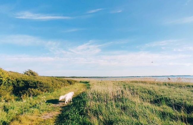 4 Person Holiday Home in Jaegerspris - Foto 9