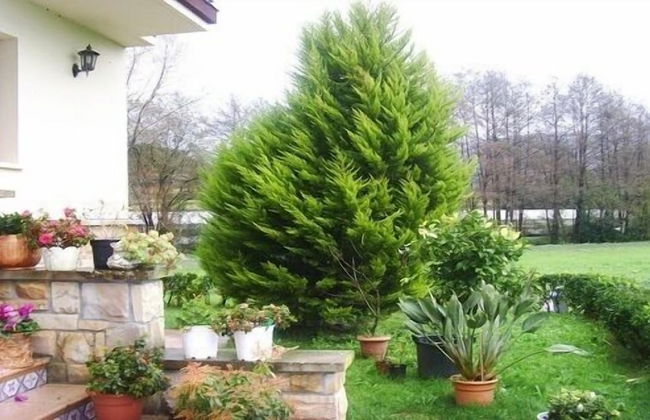 Agroturismo Ibarrondo Etxea - Foto 46