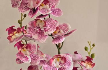 La Porte du Chemin - Foto 12