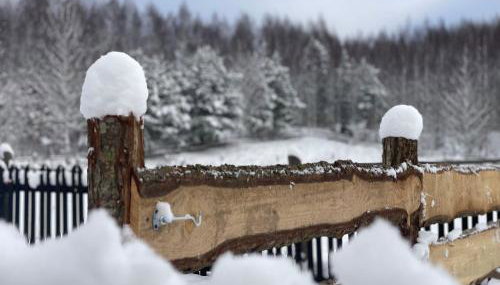Żurawi klangor - dom z sauną i jacuzzi - Foto 3