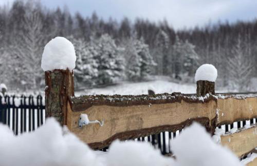Żurawi klangor - dom z sauną i jacuzzi - Foto 3