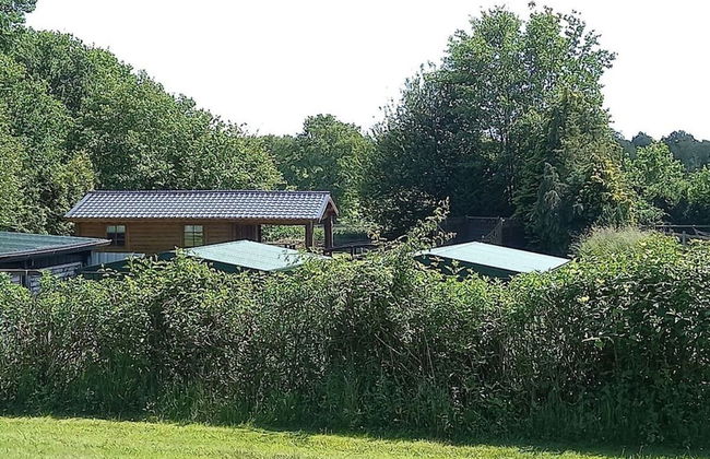 Holiday Apartment Hoffmann - Foto 15