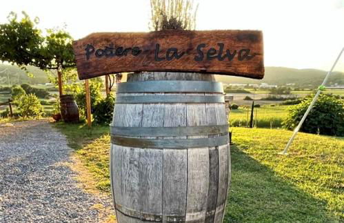 Podere La Selva - Foto 30