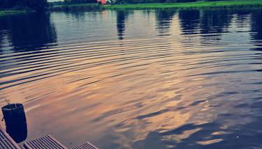 Gästehaus, Ferienwohnung, Monteurwohnung, Stedinger Landhotel - Foto 5, Garden