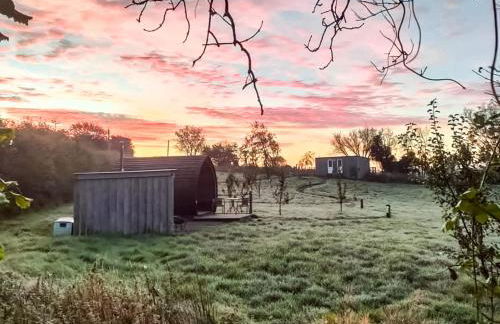 The Hedgehog Pod - Uk50067 - Photo 17