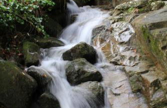 Casa de la Parra - Foto 17