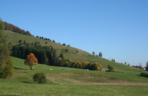 Apartment in Gutenbach With Nearby Forest - Foto 43