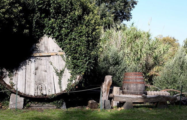 Agriturismo Case Perrotta - Foto 24