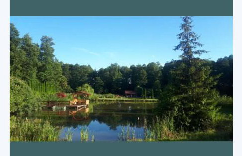 Agroturystyka Gajewo - Foto 9