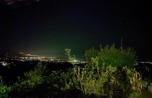 Il Limoneto di Leo - Foto 51