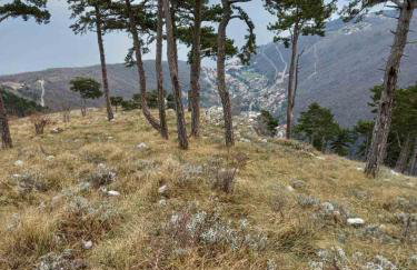 Casa Andrea - Foto 71