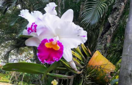 Studios Verdes hospedagens - Photo 53