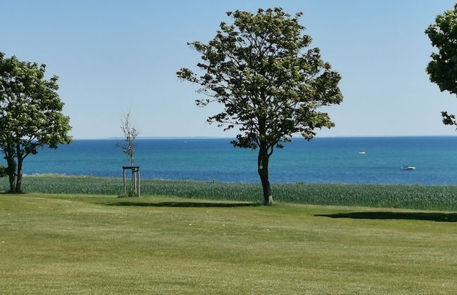 Apartments mit Flair - Foto 75