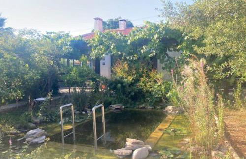 IP7 - house in nature - Photo 14