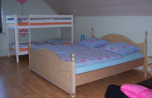 Ferienwohnung am Pfaffenfels - Foto 8