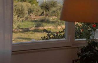 Musa Maris - Foto 23