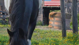 Crocketts Cabin - Foto 5