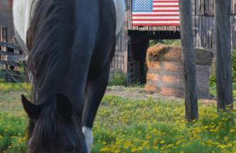 Crocketts Cabin - Foto 5