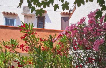 Iris Apartment-trilocale vistamare, 50 m dalla spiaggia - Foto 48