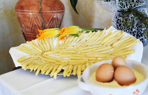 Agriturismo Terra Di Elea azienda agricola di Raimondo MIchela - Foto 60