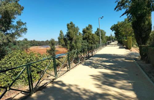 FINCA RIODIEL - Foto 69